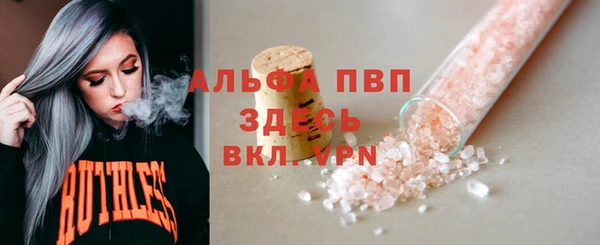 spice Богданович