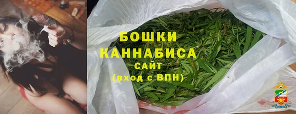 spice Богданович